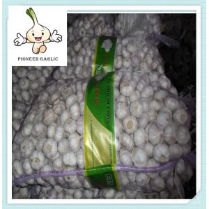 Buy cheap Organic Fresh while garlic From China with Top qulaity product