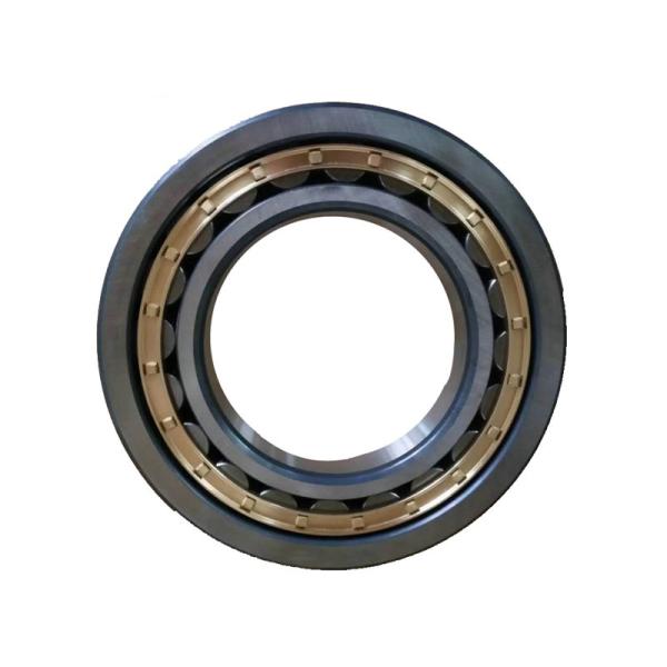 SL04 5010 PP Cylinder Roller Bearing NNF 5010 ADB-2LSV