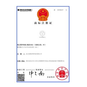 Wuhan Magnate Technology Co., Ltd. Certifications