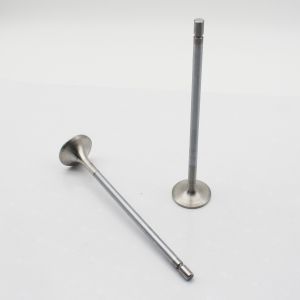 Diesel Engine ID12D Inet Exhaust Valves For Excavator Volvo EC360BLC EC460BLC