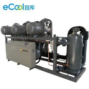 Refrigerating Capacity 160HP Screw Parallel Compressors Unit for Fruits Cold