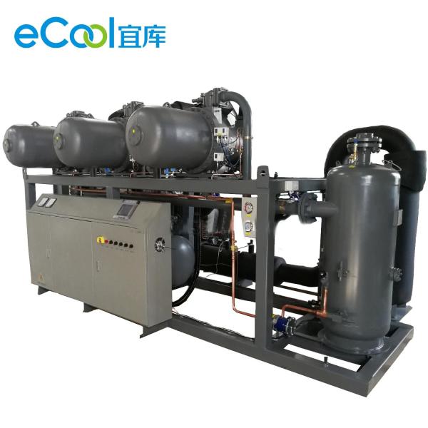 Refrigerating Capacity 160HP Screw Parallel Compressors Unit for Fruits Cold