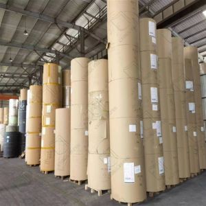 Blank White POS Thermal Receipt Paper Jumbo Rolls for High-Speed Printing and