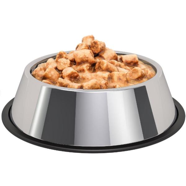 Fully Automatic Wet Pet Dog Food Gear Extruder Production Line In Saibainuo