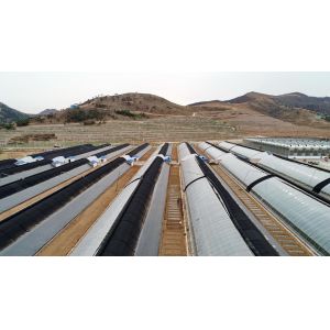 Buy cheap 100% Polypropylene Advanced Technology Dustproof Pest Control Cheap Practical Nonwoven Fabrics For Agricultrual product