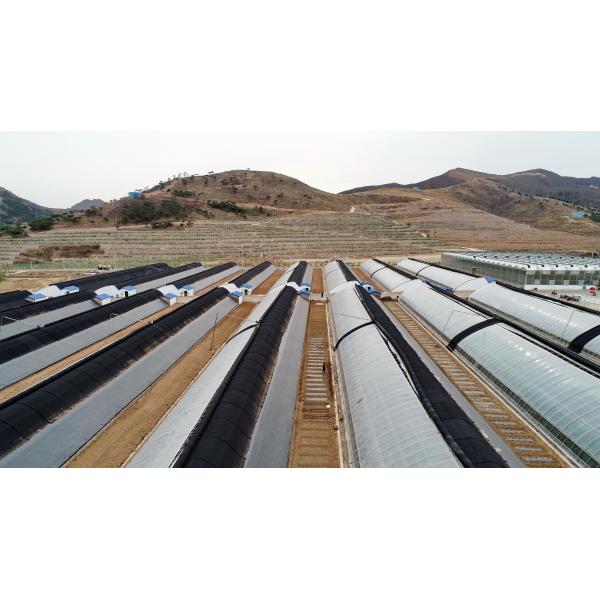 100% Polypropylene Advanced Technology Dustproof Pest Control Cheap Practical