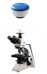 Buy cheap Polarizing Microscope , Digital Optical Microscope LED / Halogen Transmitted Illumination from wholesalers