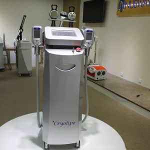 Buy cheap PROMOTION!!! two lipolysis handles / Cryotherapy fat freezing Beauty Machine from wholesalers