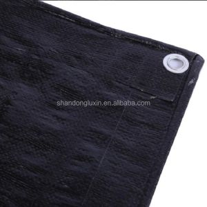 Multipurpose Waterproof UV Proof PE Tarpaulin with Eyelets Coated Type PE Coated