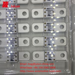 A202008 250A 125VDC Ceramic Automotive Fuses Short Circuit Protection Small Size