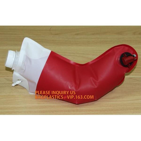 5L 220L fresh watermelon juice packing bag in box with spout automatic valve