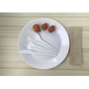 Disposable CPLA Compostable Tableware Length 171mm