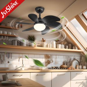 Black E27 Modern LED Ceiling Fan Low Voltage Living Room Decorative