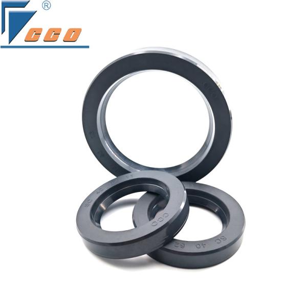 Buy cheap Pump Mechanical SC Type Oil Seal Skeleton O Ring Seals For Rotary Shaft Sealing from wholesalers
