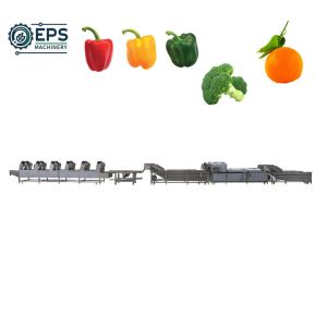 Fully Automatic Fruit and Vegetable Washer for Food Wholesalers Meeting Your