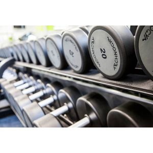 Buy cheap dumbbells for gym OEM the dumbbell from wholesalers