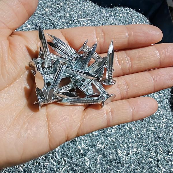 Quality 25mm Electro Glavanized Steel Concrete Nails With Wide Flat Head for sale