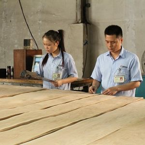 Buy cheap Decoration Natural Walnut Wood Veneer Excellent Burl Grain For High Class Furniture Making FSC China Manufacturer from wholesalers