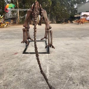 CE Jurassic Park Dinosaur Skeleton Replica Shunosaurus Skeleton weather