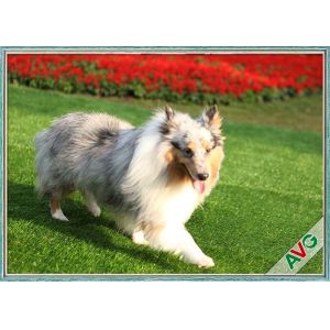 Buy cheap UV Resistant Dog Pet Artificial Turf / Synthetic Grass Eco Friendly Installation from wholesalers