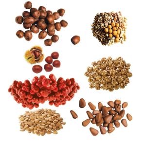 10 Heads Premade Pouch Doypack Packing Machine For Nuts Bean Grain Dry Fruits