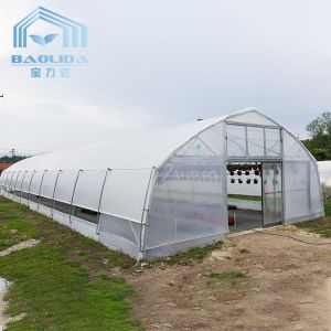 Buy cheap Roof Ventilation Tunnel Plastic Greenhouse With Cooling System from wholesalers
