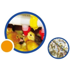 Buy cheap Duck Goose Feeding And Poultry Drinking System Plastic from wholesalers