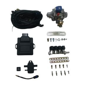 CNG Mini Conversion Kits With 48 Pin ECU 4 Cylinder Injector Rail For CNG GNV