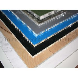 Buy cheap Comercial Interior Wall Decoration Aluminum Honeycomb Panel from wholesalers
