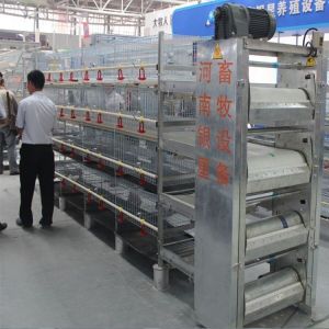 Durable Chicks Brooder Cage Multi Tiers H Type Small Fully Automatic