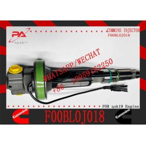 MTU2000 Common Rail Diesel Injector MTU F0013L0J004 F00BL0J005 F00BL05011