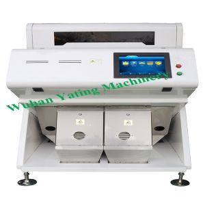 Quality CCD Color Color Sorting Machine With Two Chutes Optical Sorting Equipment for sale Buy cheap CCD Color Color Sorting Machine With Two Chutes Optical Sorting Equipment product