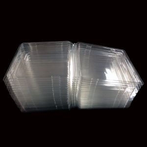 Custom Clear PET Clamshell Packaging for Automotive Decals