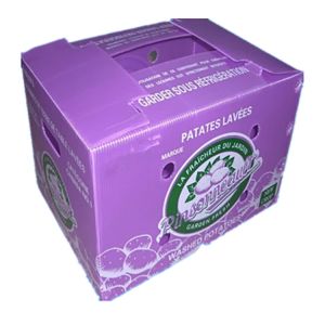 Buy cheap Ginger Box Ginger Plastic Box Fresh Ginger Plastic Packaging Box from wholesalers