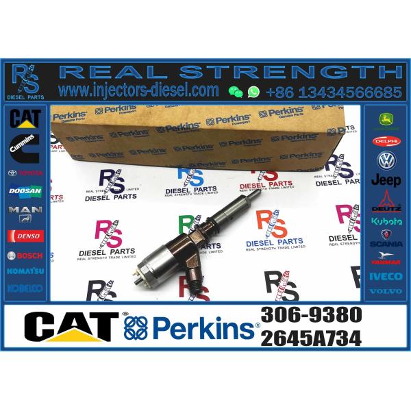 Cheap New 2645A734 Common Diesel Fuel Injector For CAT C6.6 312D Excavator Engine Parts 306-9380 10R-7672 2645A734