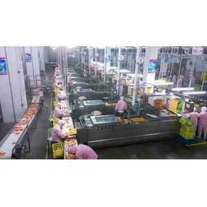 Buy cheap Ham Sausage Production Line / Processing Line Hot Dog Salami Processing System from wholesalers