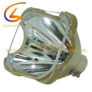 Sony LMP H202 Projector Lamp Replacement HW30ES 200W