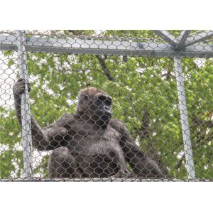 Buy cheap 7x19 Flexible Stainless Steel Rope Mesh Green Wall 316L 304L from wholesalers