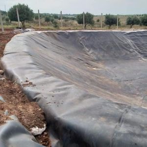 Buy cheap 0.940g/cm3 Density Fish Pond Liner for 500 Microns HDPE Geomembrane Traditional Design from wholesalers