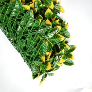 Customized Plastic Plant Artificial Green Walls Enviromental Friendly