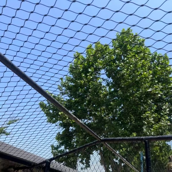 Buy cheap Black Oxidized Steel Rope Net For Animal Enclosure Mesh from wholesalers