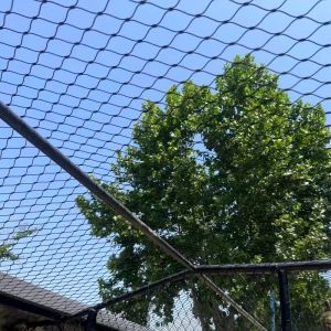 Buy cheap Black Oxidized Steel Rope Net For Animal Enclosure Mesh from wholesalers