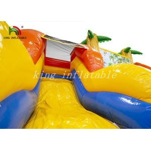 Buy cheap Waterproof PVC Inflatable Water Slide With Pool / Bouncer Combo Playground from wholesalers