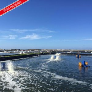 Geomembranes in Industrial Design Style for Easy Installation Pond and Dam