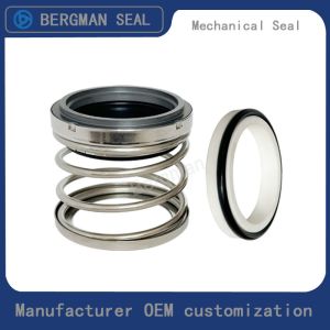 Buy cheap BERGMAN TYPE/T21 Inch Graphite Silicon Carbide Tungsten Carbide Nitrile Viton EPDM Pump Mechanical Seal from wholesalers