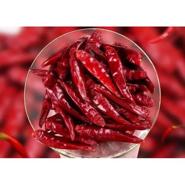 Quality Chaotian Dried Red Chilli Whole Red Chilies Tianjin Chili Dehydrated for sale