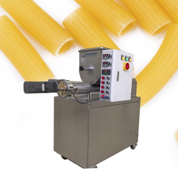 Electricity Powered Macaroni Pasta Maker Machine for Small Scale Industrial in
