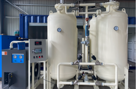 Psa Nitrogen Generator for Pharma Industry