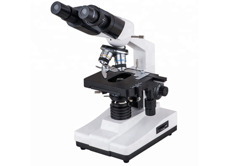 Buy cheap WF10X 40X 1600X Student Biological Microscope School Lab Compound Binocular from wholesalers