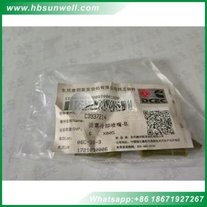 Cummins engine parts 4BT 6BT Piston Cooling Nozzle 3919002 3930139 3937214